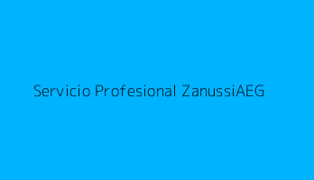 Servicio Profesional ZanussiAEG